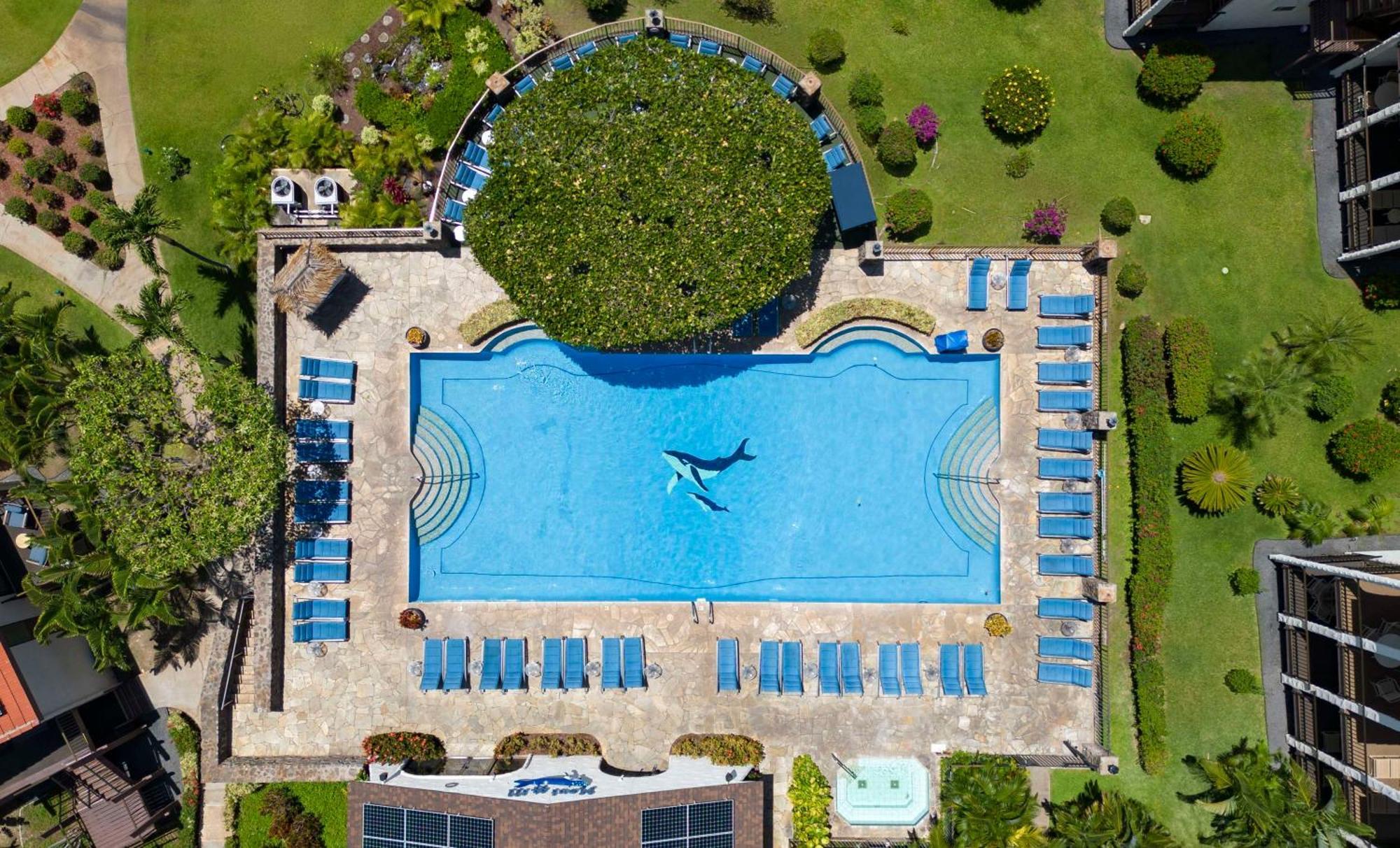 Aston Maui Hill Aparthotel Wailea  Luaran gambar